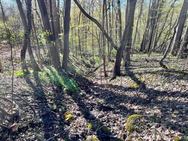 8249 M 139, Berrien Springs, MI 49103