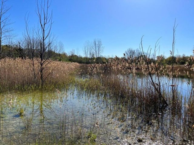 8249 M 139, Berrien Springs, MI 49103