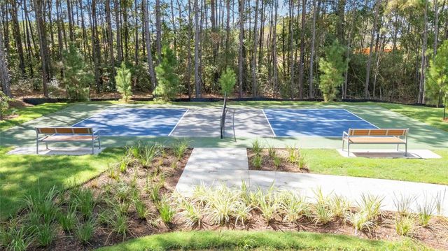 5840 Trout Lily Drive, Montgomery, TX 77316