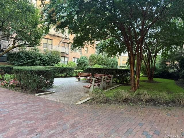 3 Birchwood Court 1A, Mineola, NY 11501