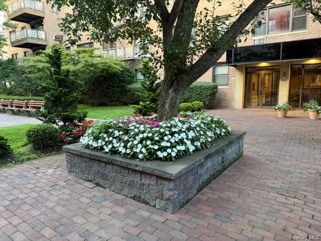 3 Birchwood Court 1A, Mineola, NY 11501