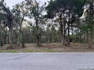 11905 W Eldred Lane, Homosassa, FL 34448