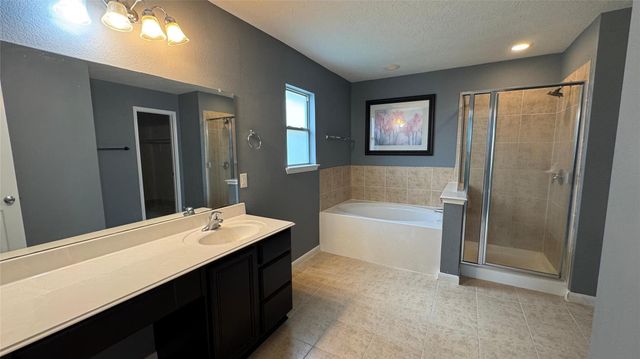18703 Brown Redbud Court, Cypress, TX 77433