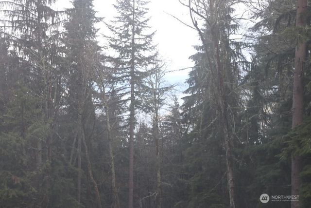 17701 SE 60TH Street, Bellevue, WA 98006