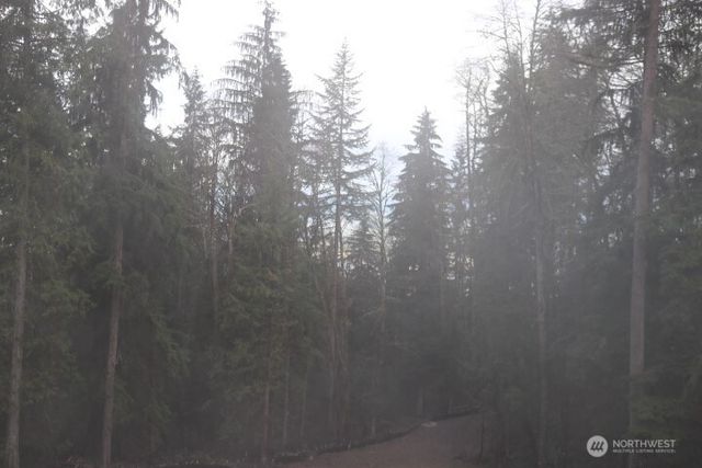 17701 SE 60TH Street, Bellevue, WA 98006