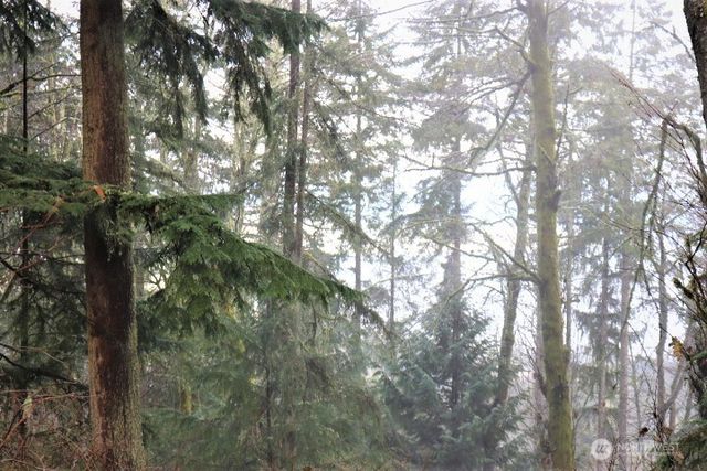 17701 SE 60TH Street, Bellevue, WA 98006