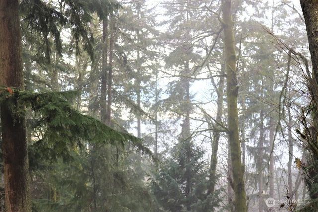 17701 SE 60TH Street, Bellevue, WA 98006