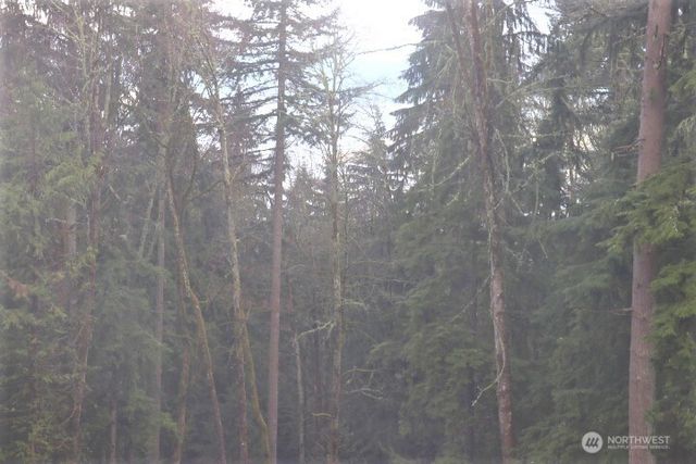 17701 SE 60TH Street, Bellevue, WA 98006