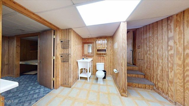 209 Brystone Drive, Gray, TN 37615