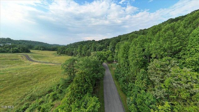 209 Brystone Drive, Gray, TN 37615