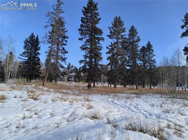 Will Scarlet Drive, Divide, CO 80814