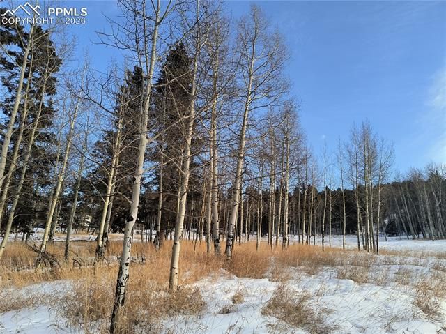 Will Scarlet Drive, Divide, CO 80814