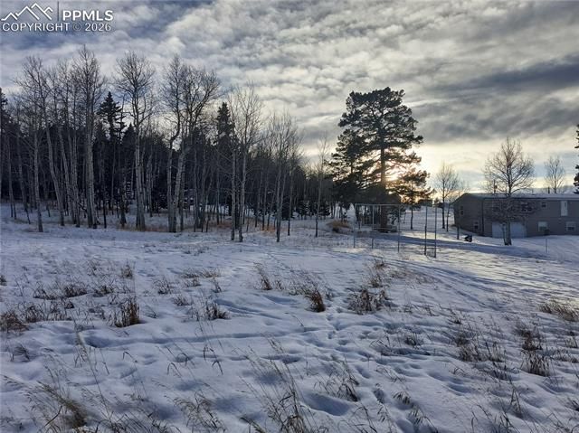 Will Scarlet Drive, Divide, CO 80814