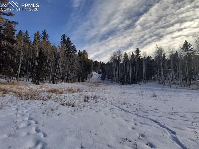 Will Scarlet Drive, Divide, CO 80814