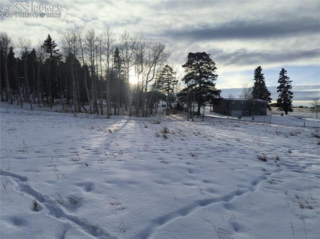 Will Scarlet Drive, Divide, CO 80814