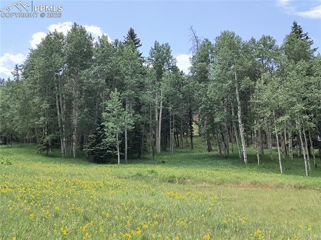 Will Scarlet Drive, Divide, CO 80814