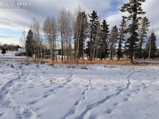 Will Scarlet Drive, Divide, CO 80814