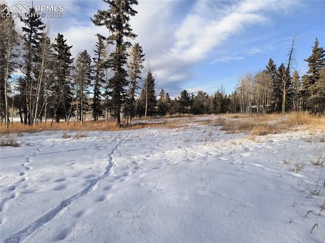 Will Scarlet Drive, Divide, CO 80814