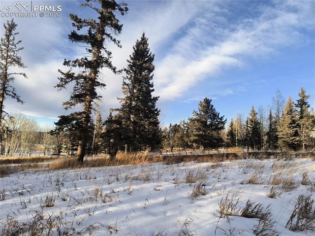 Will Scarlet Drive, Divide, CO 80814