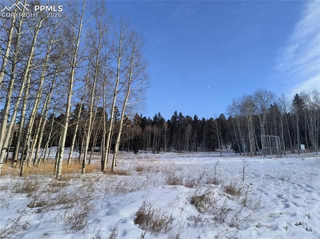 Will Scarlet Drive, Divide, CO 80814