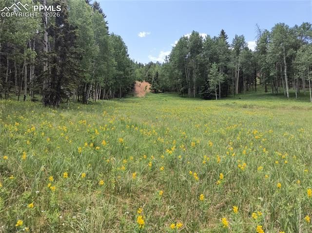Will Scarlet Drive, Divide, CO 80814