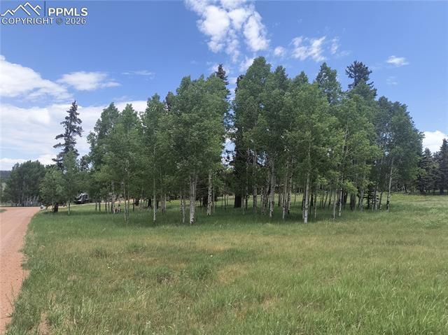 Will Scarlet Drive, Divide, CO 80814