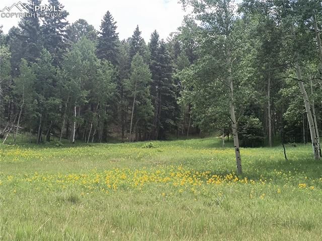 Will Scarlet Drive, Divide, CO 80814