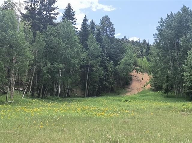 Will Scarlet Drive, Divide, CO 80814