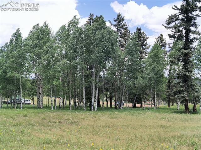 Will Scarlet Drive, Divide, CO 80814