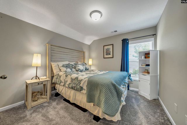 205 Quiet Cove Court, Chapin, SC 29036