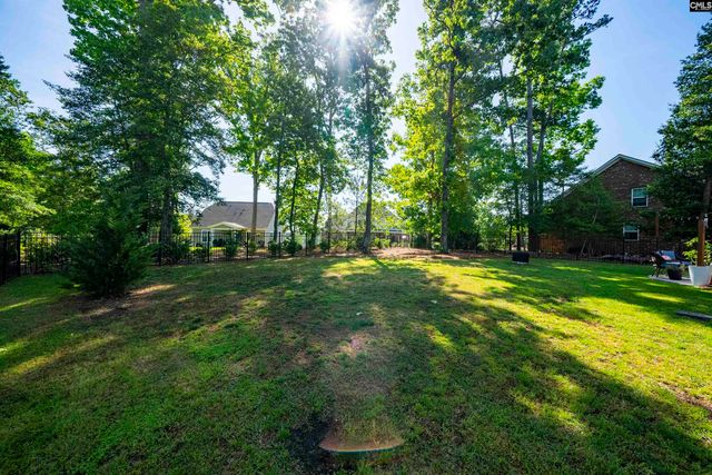 205 Quiet Cove Court, Chapin, SC 29036
