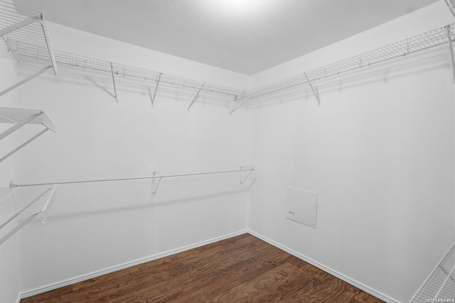 24715 MAGNOLIA FLS, San Antonio, TX 78261