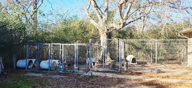 3885 County Road 12, Headland, AL 36345