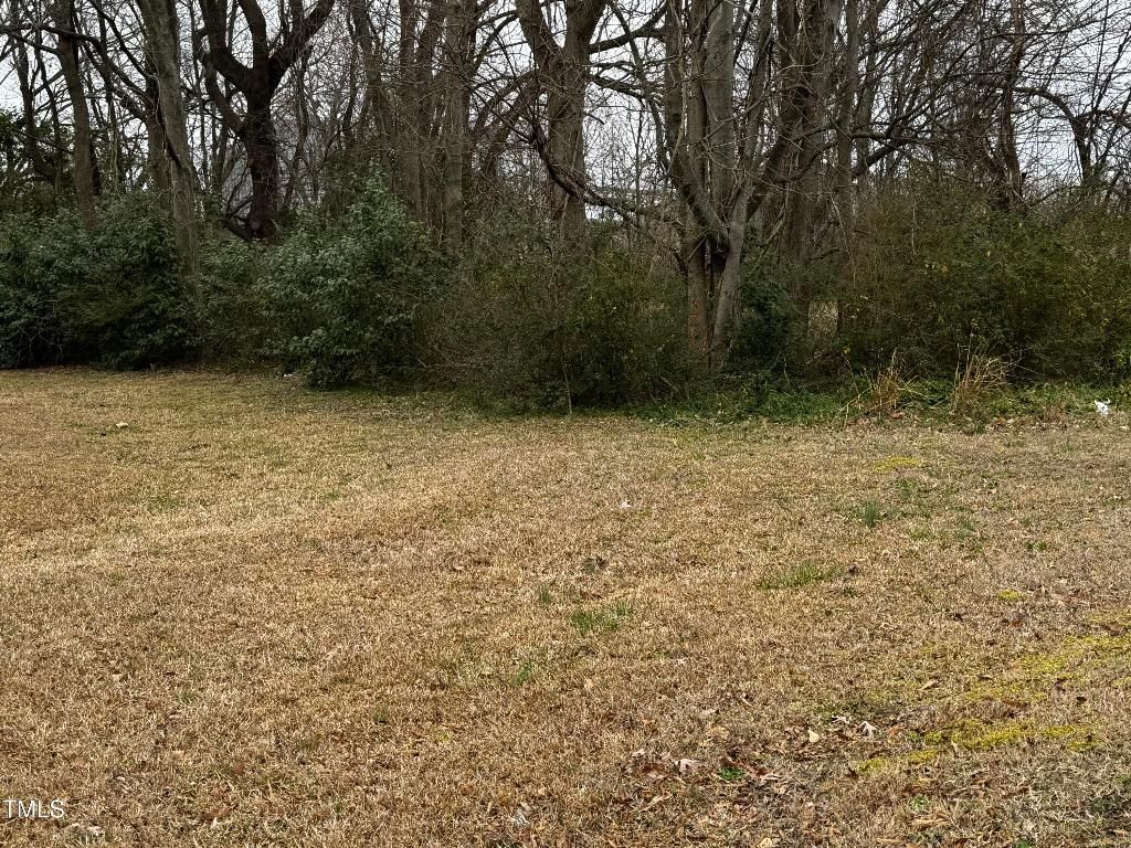 0 E Preston Street, Selma, NC 27576