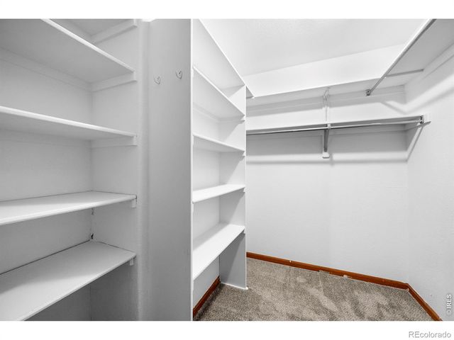 2105 Kiersi Court, Johnstown, CO 80534