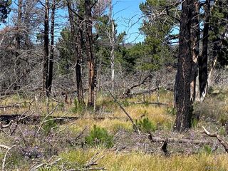 2169 Hayden Ln, Fort Garland, CO 81133