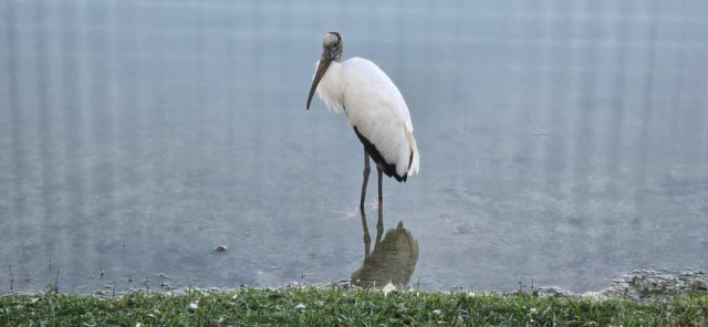 162 Plantation Boulevard 162, Lake Worth, FL 33467