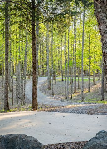 685 Young Green Rd, Smithville, TN 37166