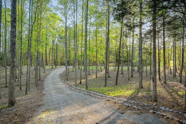 685 Young Green Rd, Smithville, TN 37166