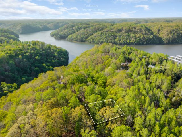 685 Young Green Rd, Smithville, TN 37166