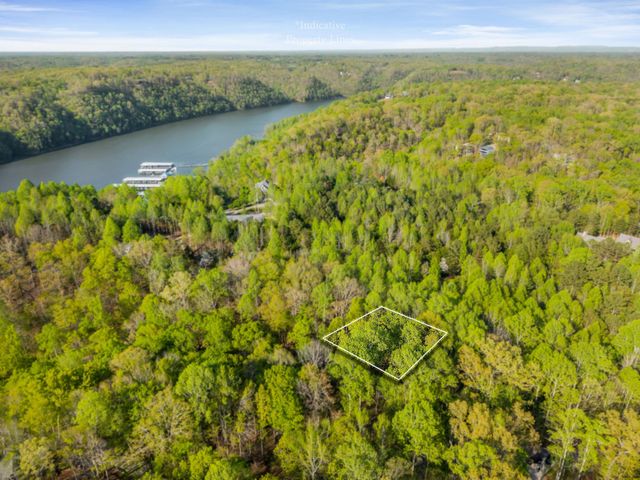 685 Young Green Rd, Smithville, TN 37166