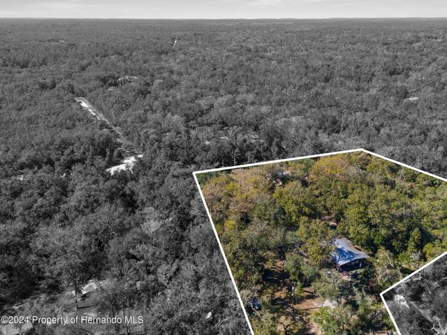 9347 River Rock Drive, Webster, FL 33597