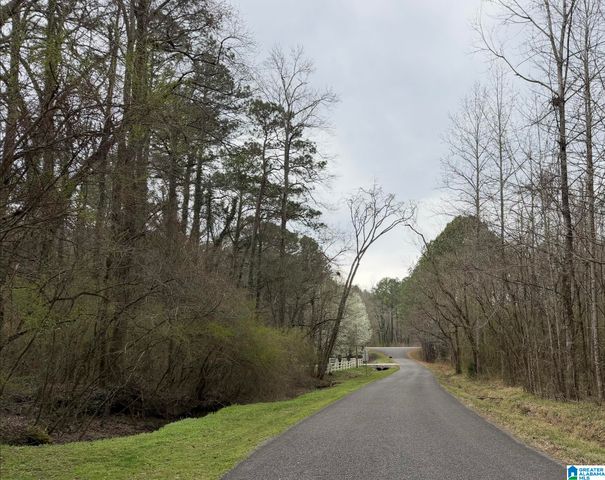 711 WESTWOOD DRIVE, Warrior, AL 35180