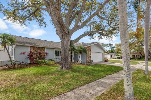 11796 SAREE COURT, Seminole, FL 33778