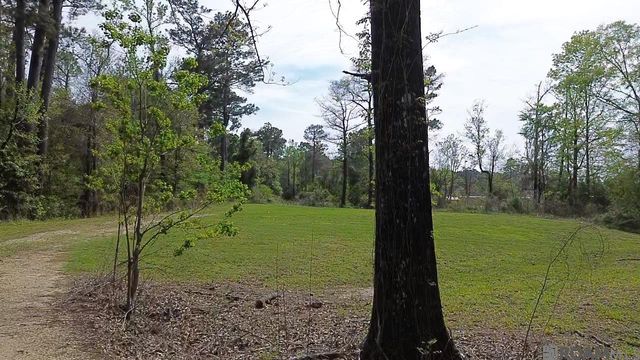 10924 Arnold Rd, Denham Springs, LA 70726