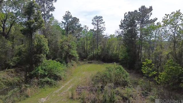 10924 Arnold Rd, Denham Springs, LA 70726