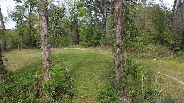 10924 Arnold Rd, Denham Springs, LA 70726