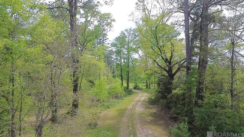 10924 Arnold Rd, Denham Springs, LA 70726