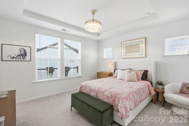 215 Tamala Street, Davidson, NC 28036