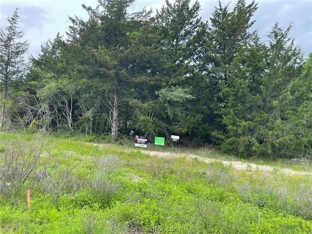 4430 Hampshire Lane, Franklin, TX 77856